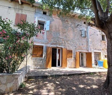 Bonvivan House Diminici Exterior photo